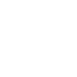 Logo_Audi_weiss