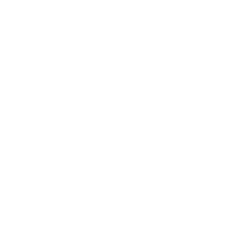 Logo_Merida_weiss