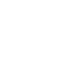 Logo_Blackroll_weiss