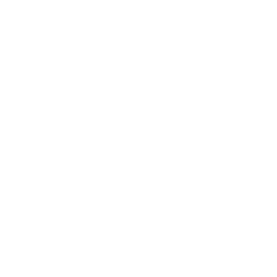 Logo_Salomon_weiss