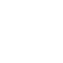 Logo_Camaro_weiss