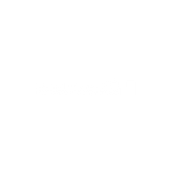 Logo_Bondi-Consult_weiss