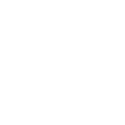 Logo_Tirol_weiss